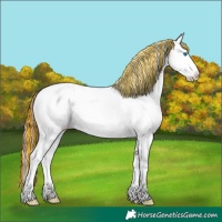 Horse Color:Painted Chocolate Brown Onyx Splash Tobiano Appaloosa 