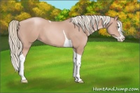 Horse Color:Gold Champagne Mushroom Splash Tobiano 