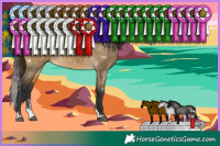 Horse Color:White Spotted Buckskin Dun Splash Rabicano 