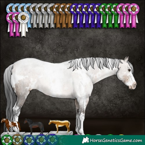 Horse Color:White Spotted Brown Dun Sabino Rabicano 