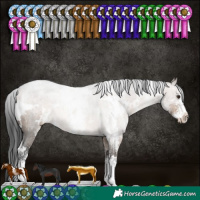 Horse Color:White Spotted Brown Dun Sabino Rabicano 