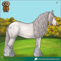 Horse Color:Platinum Chocolate Perlino 