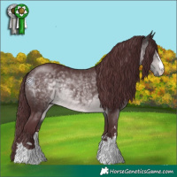 Horse Color:Platinum Chocolate Buckskin 