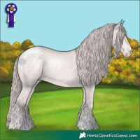 Horse Color:Platinum Chocolate Perlino 