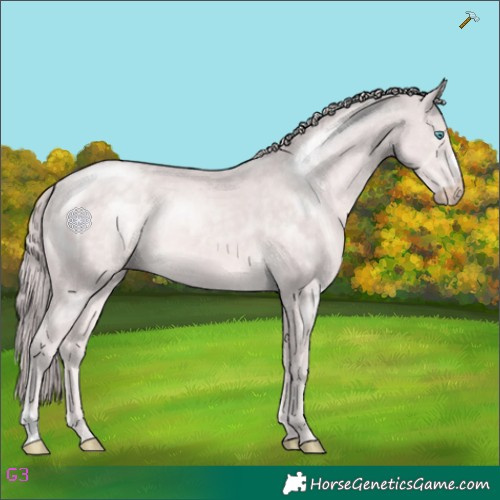 Horse Color:Platinum Chocolate Perlino 