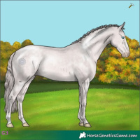 Horse Color:Platinum Chocolate Perlino 