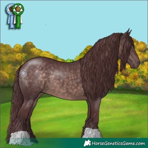 Horse Color:Platinum Chocolate Brown 
