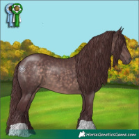 Horse Color:Platinum Chocolate Brown 
