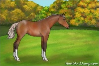 Horse Color:Silver Brown 