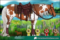 Horse Color:White Spotted Silver Bay 