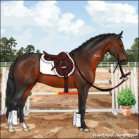 Horse Color:Brown 