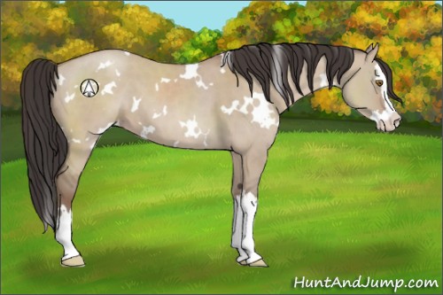 Horse Color:White Spotted Classic Champagne Dun Sabino Splash