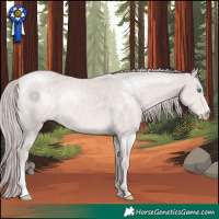 Horse Color:Platinum Chocolate Perlino 