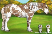 Horse Color:White Spotted Chestnut Sabino 