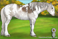 Horse Color:White Spotted Silver Black Sabino 