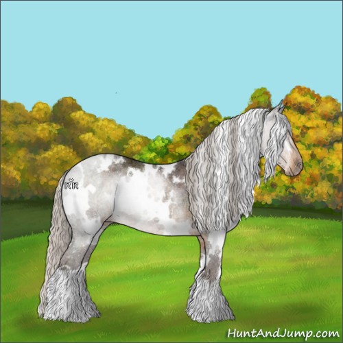 Horse Color:White Spotted Silver Smoky Black Rabicano 