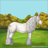 Horse Color:Silver Smoky Grullo Pearl Sabino Rabicano