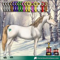 Horse Color:Buckskin Roan Pearl