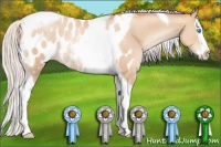 Horse Color:Silver Classic Champagne Pearl Sabino Splash Tobiano Appaloosa 