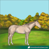 Horse Color:Perlino 