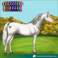 Horse Color:Silver Smoky Blue Roan Pearl 