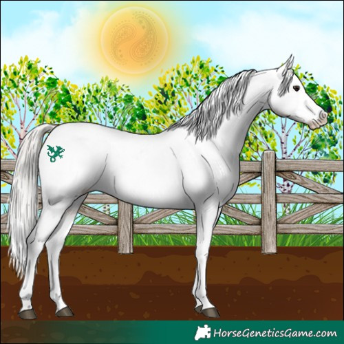 Horse Color:Silver Brown Roan Dun Tobiano Blanket 