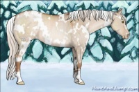 Horse Color:White Spotted Silver Brown Pearl Dun Rabicano 