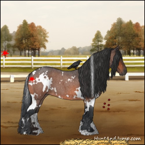 Horse Color:White Spotted Brown Roan