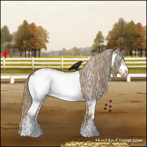 Horse Color:White Spotted Red Dun Frame Varnish 