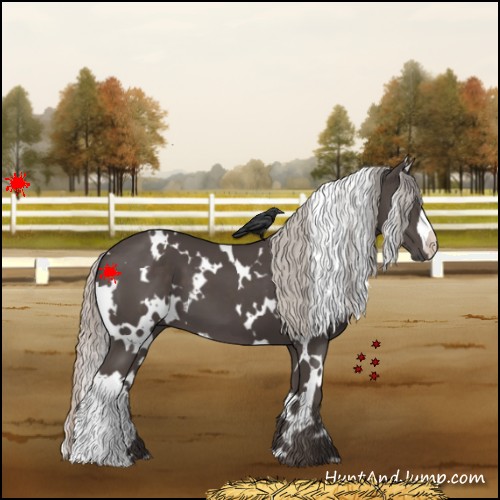 Horse Color:White Spotted Silver Black 