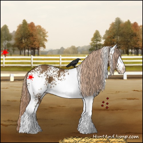 Horse Color:White Spotted Chocolate Palomino 