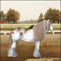 Horse Color:White Spotted Chocolate Palomino
