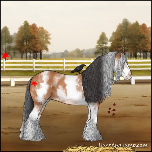 Horse Color:White Spotted Bay 