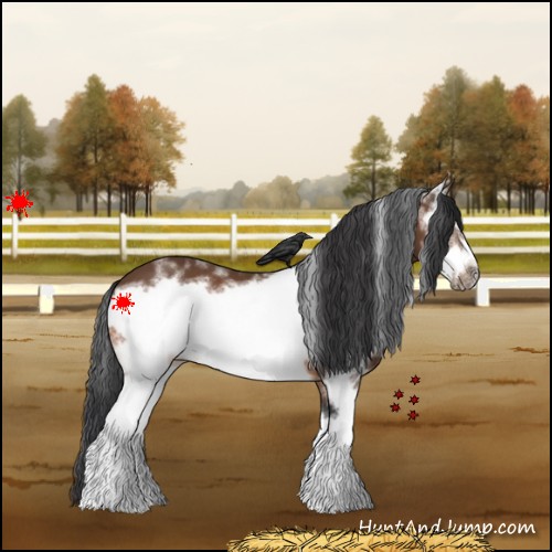 Horse Color:White Spotted Bay Frame