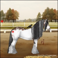 Horse Color:White Spotted Bay Frame