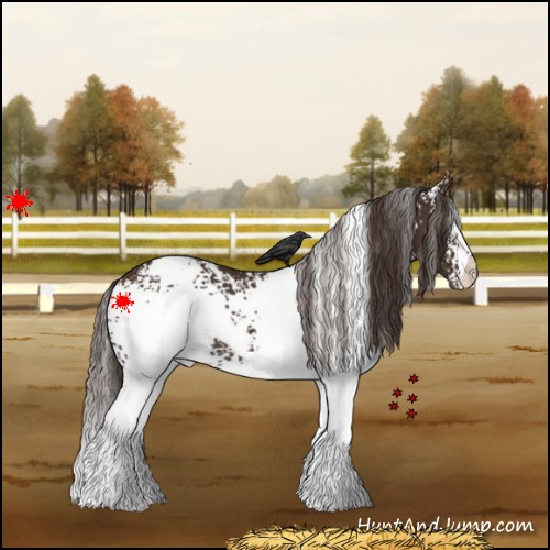 Horse Color:White Spotted Liver Chestnut 