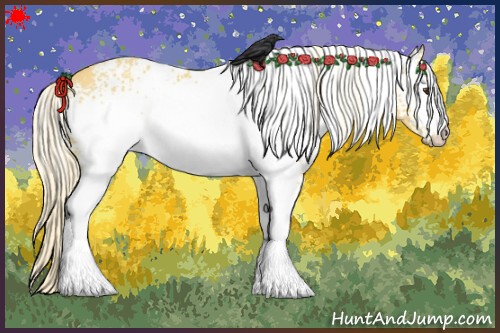 Horse Color:White Spotted Palomino 