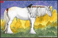 Horse Color:White Spotted Palomino