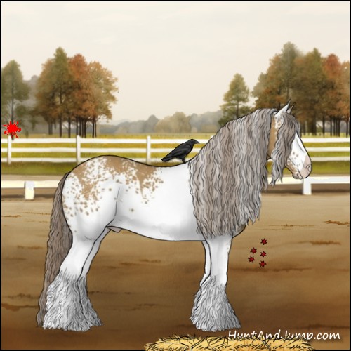 Horse Color:White Spotted Chocolate Palomino Dun 