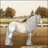 Horse Color:White Spotted Silver Brown Roan Pearl Dun Varnish 