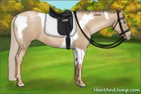 Horse Color:Chocolate Palomino Pearl Tobiano and Chocolate Palomino Pearl