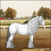 Horse Color:White Spotted Grullo 