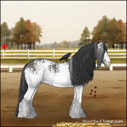Horse Color:White Spotted Grullo 