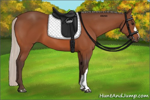 Horse Color:Silver Bay