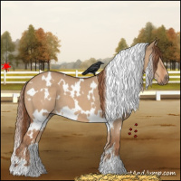 Horse Color:White Spotted Red Dun