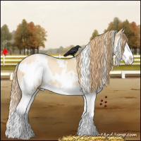 Horse Color:White Spotted Smoky Black Pearl Splash 