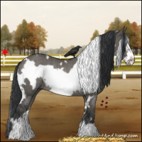 Horse Color:White Spotted Grullo Frame Rabicano