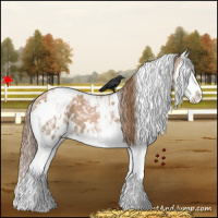 Horse Color:White Spotted Liver Chestnut Pearl Splash 