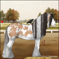 Horse Color:White Spotted Bay Dun Splash 