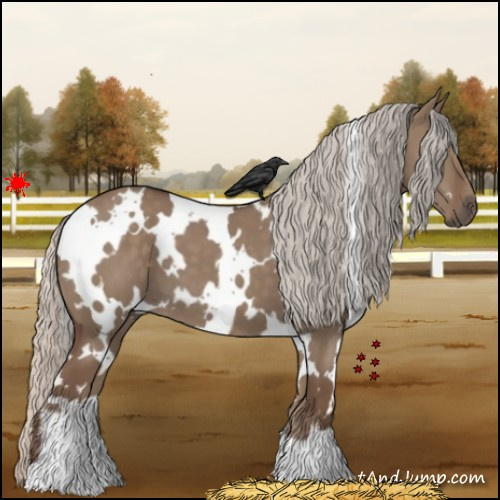 Horse Color:White Spotted Silver Grullo 